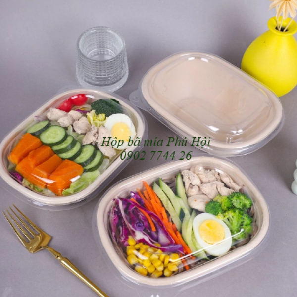 Hộp bã mía 1 ngăn to nắp nhựa PET 850ml